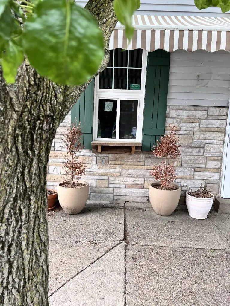 The Breezeway in Point Breeze